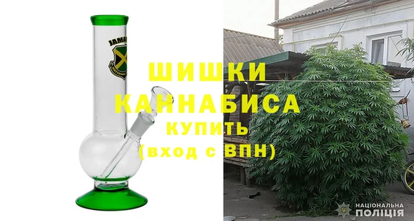 гидра Сосновый Бор