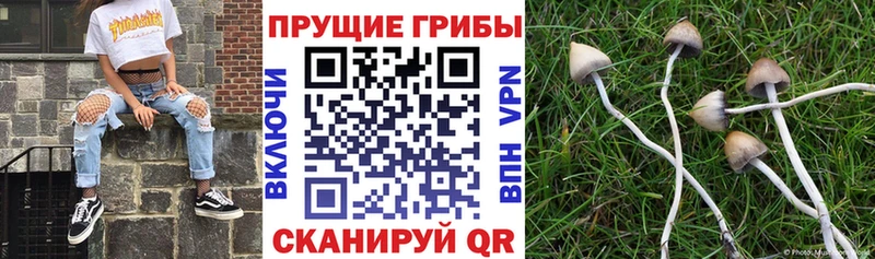 кракен маркетплейс  Бирск  Галлюциногенные грибы мицелий  закладки 